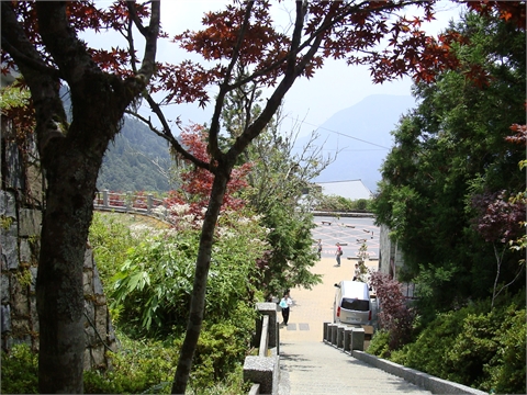 太平山賞楓步道2