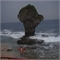小琉球花瓶石---珊瑚礁上面長著禾果藤和臭娘子